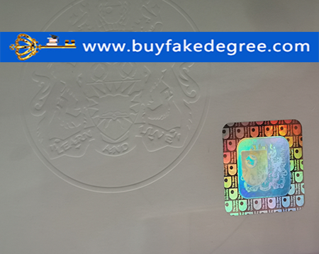 fake open univcersity degree with hologram and embossed