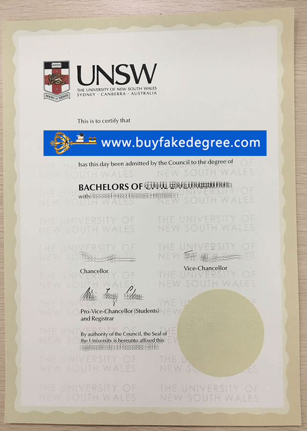 University of New South Wales degree