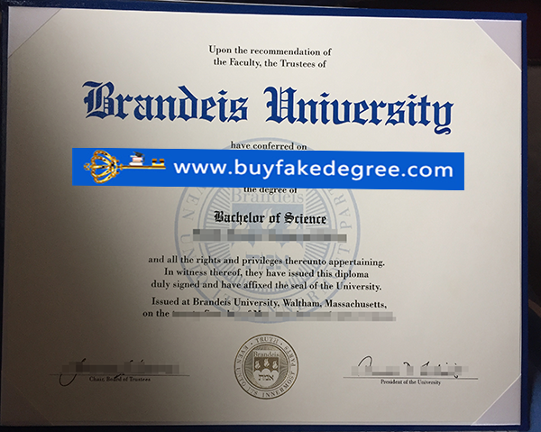Brandeis University degree