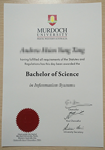 Murdoch University degree