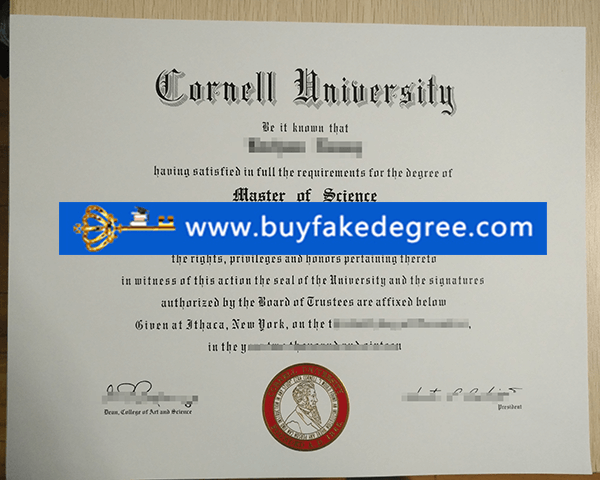 Cornell University degree