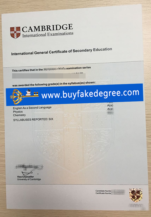 Buy Fake Cambridge IGCSE Certificate
