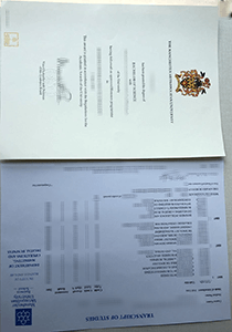 Manchester Metropolitan University diploma and transcript
