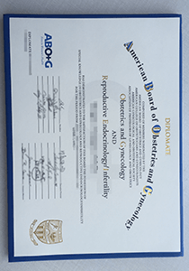 ABOG diploma certificate, fake ABOG diploma certificate