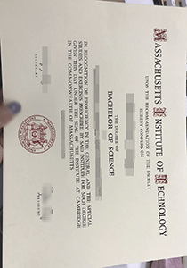 fake MIT diploma