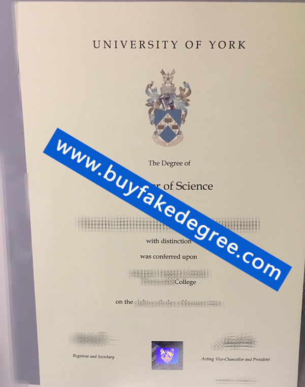 University of York degree