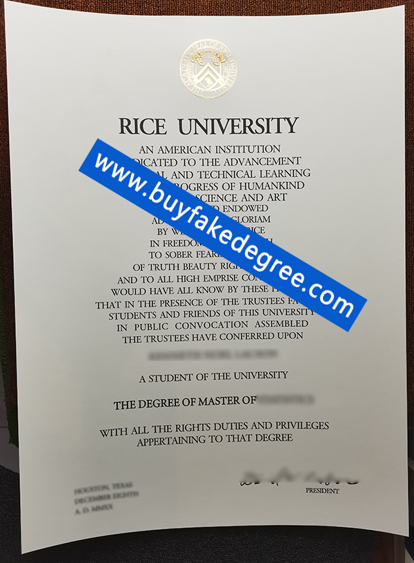 Rice University degree