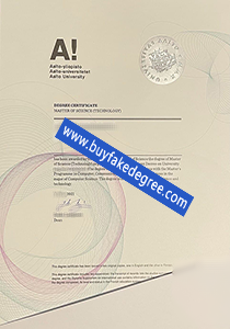 Aalto University fake diploma