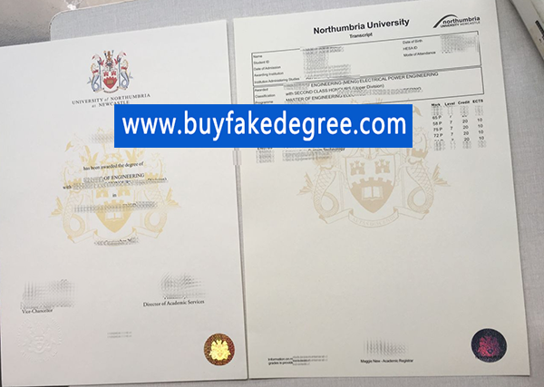 fake University of Northumbria degree and transcript