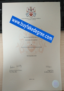 University of Northumbria at Newcastle diploma sample