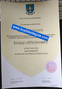 University of Sheffield diploma