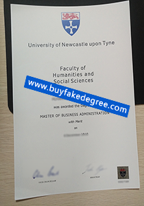University of newcastle upon tyne diploma sample