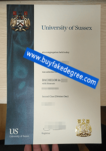 University of Sussex diploma