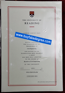 University of Reading degree