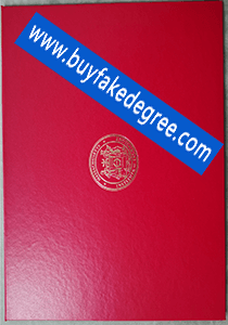 MIT diploma cover diploma folder buy fake diploma