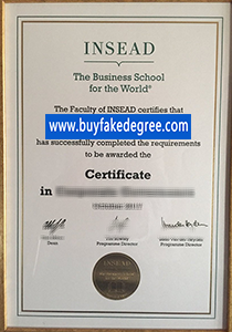 INSEAD diploma, buy fake INSEAD diploma certificate