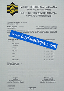 Majlis Peperiksaan Malaysia Transcript Certificate，buy fake diploma transcript, MPM transcript