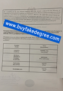 FAKE SIJIL PELAJARAN MALAYSIA TRANSCRIPT, buy fake transcript
