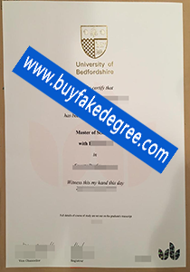 University of Bedfordshire degree sample show