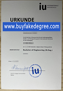 IU fake diploma buy fake degree of IU