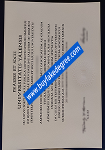 Yale University diploma, Fake Yale University Degree, buy fake degree certificate