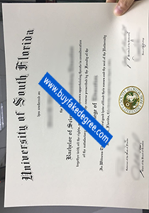 University of South Florida diploma, buy fake USF diploma, fake degree certificate