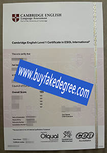 Cambridge English level 1 ESOL certificate