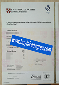Cambridge English level 3 ESOL certificate