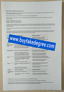 Certificate in Advanced English certificate
