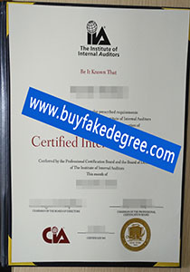 Certified Internal Auditor certificate