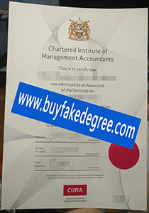 Chartered Institute of Management Accountants certificate