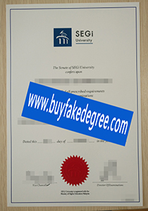 Segi University degree