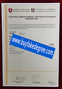 Singapore Cambridge General Certificate of Education