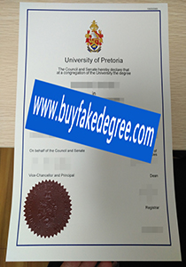 University of Pretoria degree