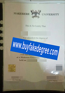 Makerere University degree