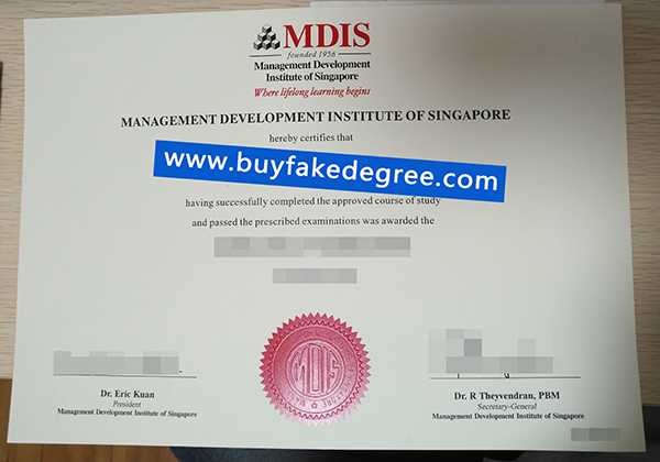 Management Development Institute of Singapore degree