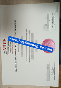 Management Development Institute of Singapore degree