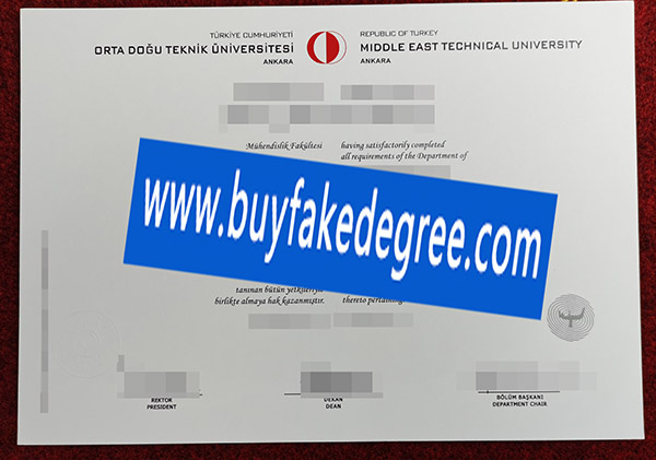 Middle East Technical Universiry degree