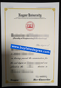 Nagpur University degree