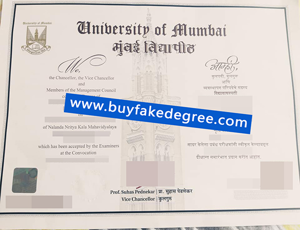 University of Mumbai degree