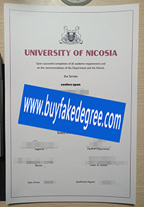 University of Nicosia degree
