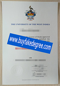 University of West Indies degree
